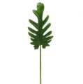 Floristik24 Lenzuola decorative Philodendron verde B11cm L34cm 6 pezzi