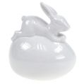 Floristik24 Coniglietto decorativo su bianco d&#39;uovo 8,5 cm 2 pezzi
