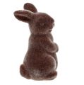 Floristik24 Figura decorativa coniglio floccato 7cm marrone 1pc