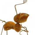 Floristik24 Figura decorativa formica rete per farfalle in metallo decorazione da giardino ruggine 19 cm