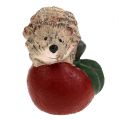 Floristik24 Riccio Figura da decorare su mela 7,5 cm in ceramica