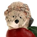 Floristik24 Riccio Figura da decorare su mela 7,5 cm in ceramica