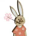 Floristik24 Figura decorativa Coniglietto pasquale arancione, coniglietto in legno bianco Decorazione pasquale 6 pezzi