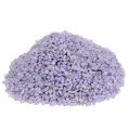 Floristik24 Granuli decorativi pietre decorative lilla viola 2mm - 3mm 2kg