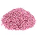 Floristik24 Granuli decorativi pietre decorative rosa 2mm - 3mm 2kg