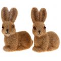 Floristik24 Deco coniglio floccato marrone 8,5 cm 6 pezzi