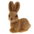 Floristik24 Deco coniglio floccato marrone 8,5 cm 6 pezzi