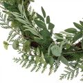 Floristik24 Ghirlanda decorativa ghirlanda artificiale eucalipto abete oliva Ø45cm