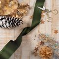 Nastro di raso per confezioni regalo, nastro di taffetà, verde, largo 40 mm, lungo 5 m. | Floristik24.it