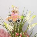 Floristik24 Spina decorativa coniglio nell&#39;auto legno Decorazione pasquale carota 9 × 7,5 cm 16 pezzi