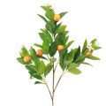 Floristik24 Ramo d'arancio decorativo e fiori Ramo d'arancio artificiale 78 cm