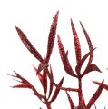 Floristik24 Deco ramo rosso con mica 69cm 2 pezzi