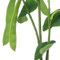 Floristik24 Ramo decorativo ramo di fagiolo pianta artificiale verde 95 cm