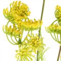 Floristik24 Aneto giallo per piante artificiali aneto per decorare L80cm