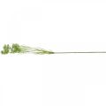 Floristik24 Fioritura di aneto, pianta artificiale, erbe artificiali verde, bianco L80cm