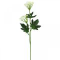 Floristik24 Aneto in fiore, erbe artificiali, pianta decorativa verde, bianco 49 cm 9 pezzi