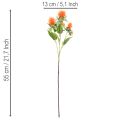 Cartamo arancione artificiale, fiore artificiale per vasi e decorazioni, 55 cm, 4 pezzi | Floristik24.it