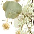 Floristik24 Ghirlanda di cardo Ghirlanda di decorazione di piante artificiali di cardo globo 127 cm