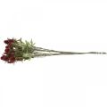 Floristik24 Fiore artificiale di cardo rosso bordeaux 10 teste di fiori 68 cm 3 pezzi