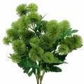 Floristik24 Fiore di seta cardo verde 56 cm 3 pezzi