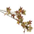 Ramo autunnale artificiale di liquidambar con foglie e grappoli di frutti, 132 cm | Floristik24.it