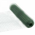 Floristik24 Rete metallica rivestita di PVC del cavo verde della maglia esagonale 50cm×10m