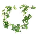 Floristik24 Ghirlanda di edera artificiale per decorazione d'interni, 173 cm