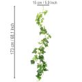 Ghirlanda di edera artificiale per decorazione d'interni, 173 cm | Floristik24.it