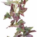 Floristik24 Ivy Garland Green, Borgogna 182,5 cm