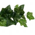 Floristik24 Ivy artificiale verde 50cm Pianta artificiale come vera!