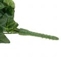 Floristik24 Ivy artificiale verde 90cm Pianta artificiale come vera!