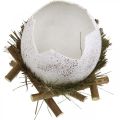 Floristik24 Decorazione pasquale, uovo nel nido, uovo decorativo, nido d&#39;uccello Ø9cm H10cm bianco, colori naturali 4 pezzi