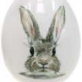 Floristik24 Motivo decorativo coniglio in piedi, decorazione pasquale, coniglio su uovo Ø8cm H10cm set di 4