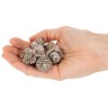 Ghiande, prodotto naturale decorativo, sbiancate, 1-3 cm, 300 g | Floristik24.it