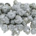 Floristik24 Ghiande decorative argento, decorazione dell&#39;Avvento, frutti autunnali naturali, casa di campagna Ø1,5 - 2,5 cm L1,5 - 3 cm 300 g