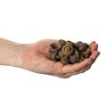 Tappi di ghianda naturali, ciotole decorative per l'autunno e l'Avvento, 2 cm, 300 g | Floristik24.it