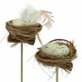 Floristik24 Deco plug nido d&#39;uccello, decorazione pasquale, nido con uova 23 cm 6 pezzi
