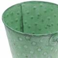 Floristik24 Fioriera decorativa a secchiello con pois in metallo lavato verde Ø18,5 cm H18 cm