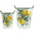 Vaso mediterraneo in latta, fioriera con motivo limone bianco, verde, giallo H43,5/34 cm L36,5/27,5 cm set di 2