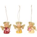 Floristik24 Ciondolo decorativo a forma di angelo con stella, 5 cm, 9 pezzi