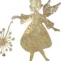 Floristik24 Angelo decorativo con dente di leone, decorazione dell&#39;Avvento in metallo, angelo di Natale aspetto antico dorato H21cm