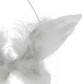Floristik24 Ala d&#39;angelo per appendere bianco 16cm 4 pezzi