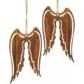 Floristik24 Appendino decorativo in metallo con ali d&#39;angelo decorazione patinata 19,5 cm 3 pezzi