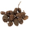 Floristik24 Pigne di ontano, prodotto naturale per decorazione e artigianato, colore oro, 3 cm, 300 g