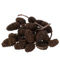 Floristik24 Pigne di ontano naturali, sfuse, decorative, 3 cm, 300 g, marrone naturale.