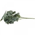 Floristik24 Cespuglio di eucalipto foglie di eucalipto artificiale verde 45 cm