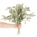 Ramo artificiale di eucalipto, ramo decorativo per vasi e bouquet, 49 cm, 4 pezzi | Floristik24.it