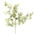Floristik24 Ramo artificiale di eucalipto con foglie rotonde, 75 cm, 4 pezzi