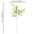 Ramo artificiale di eucalipto con foglie rotonde, 75 cm, 4 pezzi | Floristik24.it