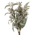 Floristik24 Decorazione con rami di eucalipto artificiali, composizione di rami, 3 pezzi